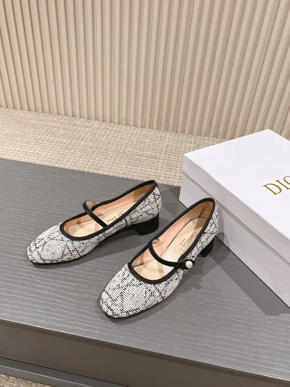 Dior Shoe 